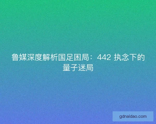 鲁媒深度解析国足困局：442 执念下的量子迷局